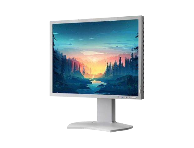 NEC N2065 Monitor