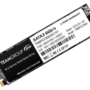 TeamGroup MS30 256GB (M.2 SSD SATA III) 2280